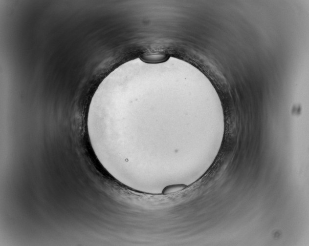 X0000103400031200810100944