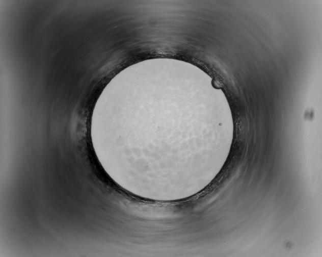 X0000103400032200810100944