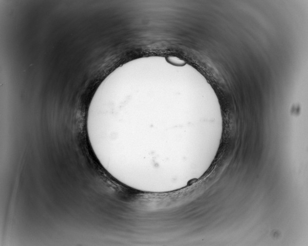 X0000103400033200810100944