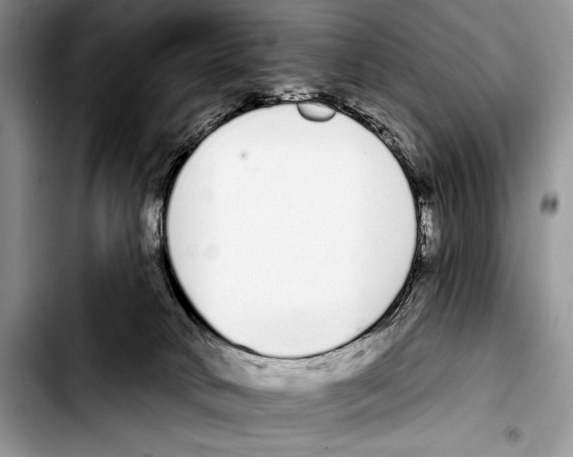 X0000103400034200810100944