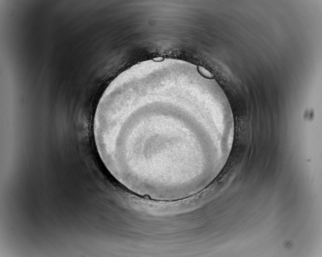 X0000103400039200810100944