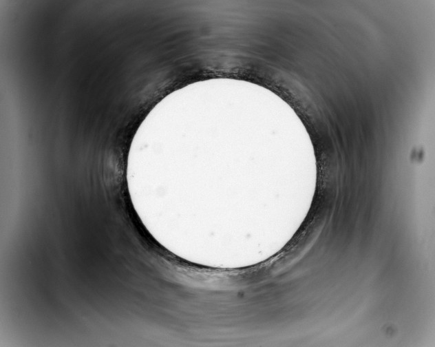 X0000103400040200810100944