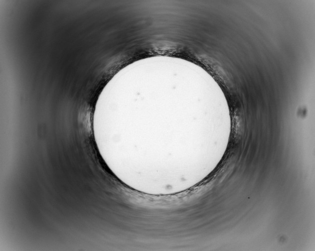 X0000103400042200810100944