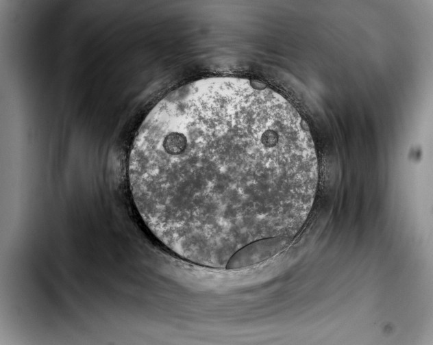 X0000103400043200810100944