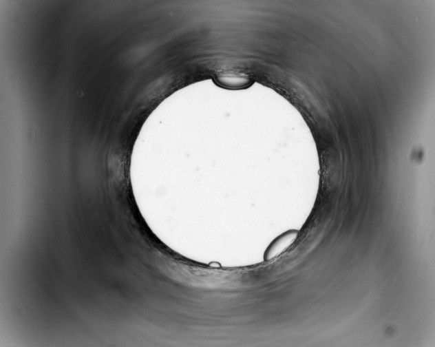 X0000103400044200810100944