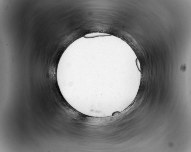 X0000103400045200810100944