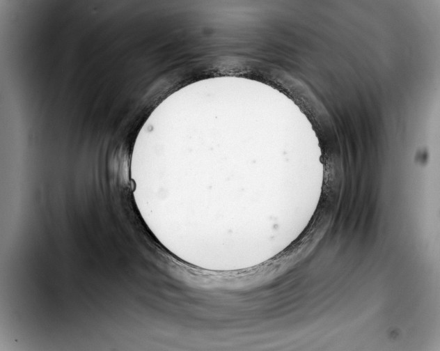 X0000103400046200810100944