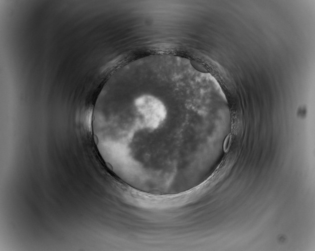 X0000103400047200810100944