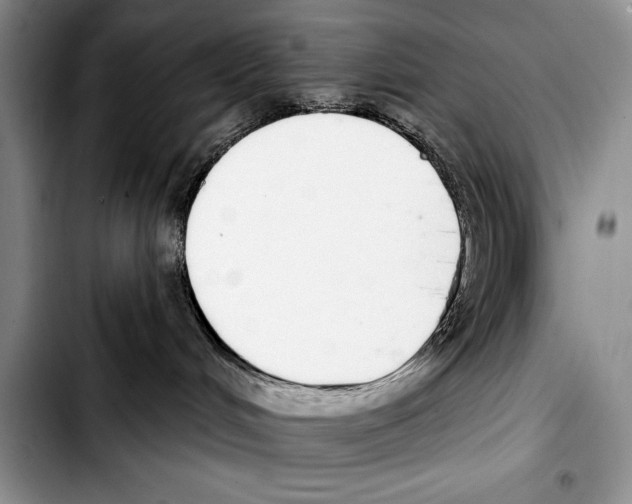 X0000103400048200810100944