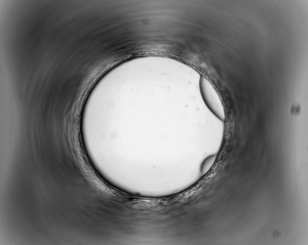 X0000103400049200810100943