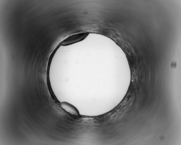 X0000103400052200810100943