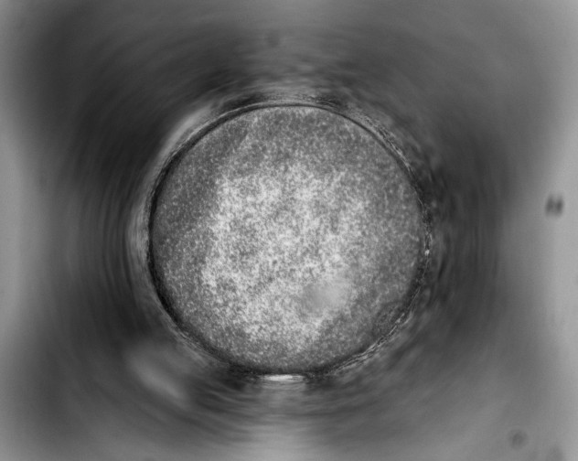 X0000103400053200810100943