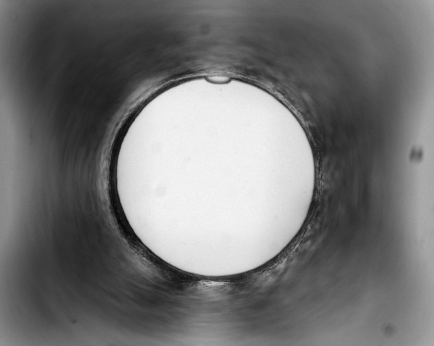 X0000103400055200810100943