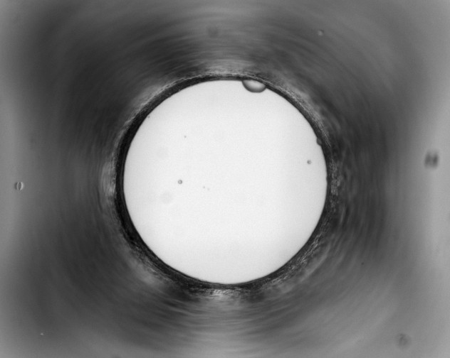 X0000103400060200810100943