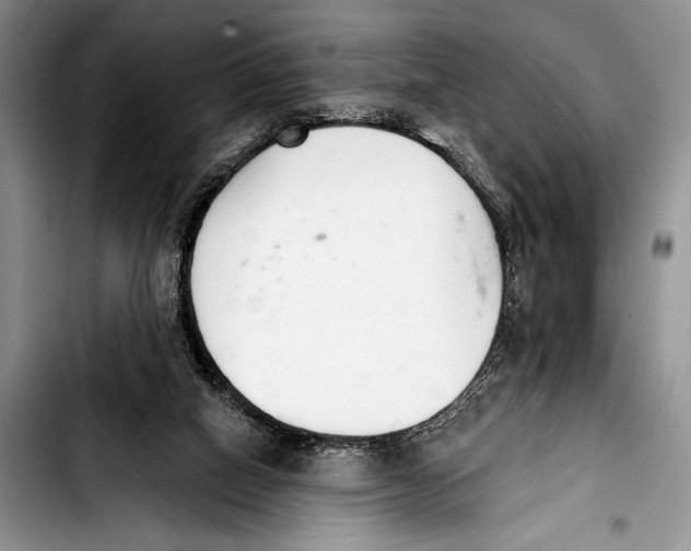 X0000103400066200810100943