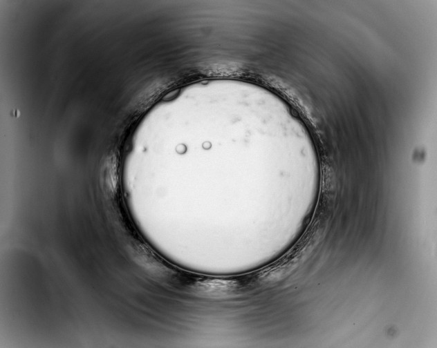 X0000103400069200810100943