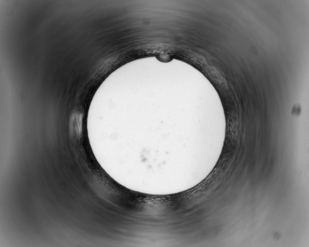 X0000103400070200810100943