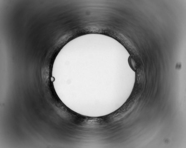 X0000103400072200810100943