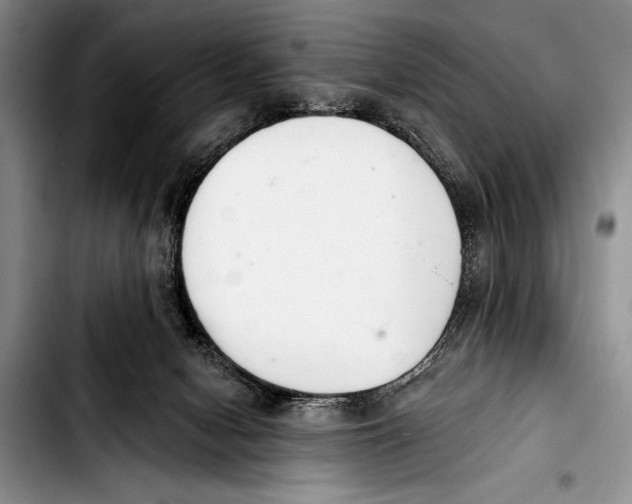 X0000103400078200810100943