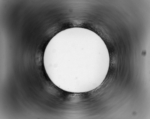 X0000103400082200810100943