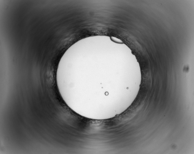 X0000103400088200810100943