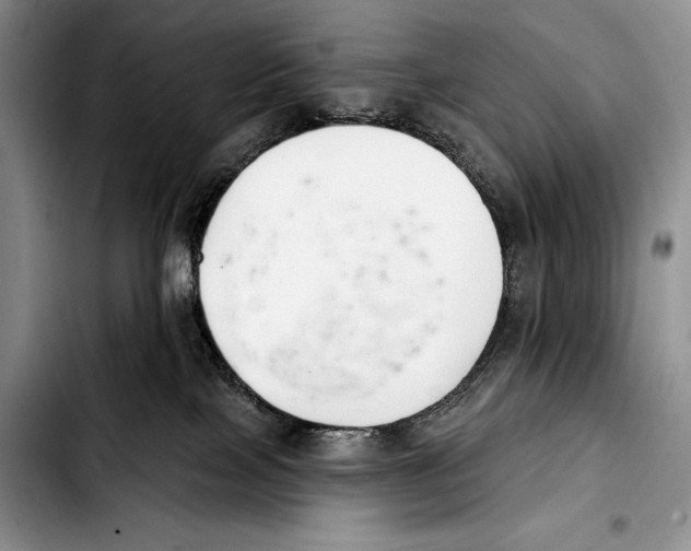 X0000103400089200810100943