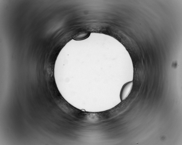 X0000103400091200810100943