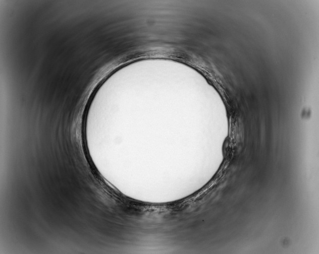 X0000103400099200810100943