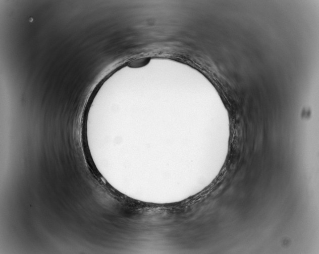 X0000103400100200810100943