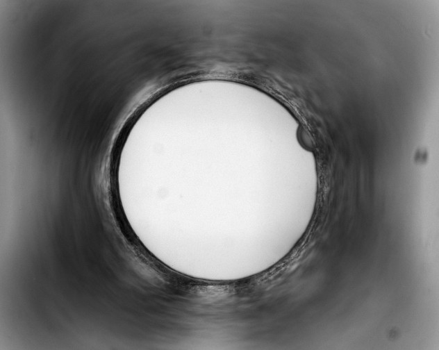 X0000103400102200810100943