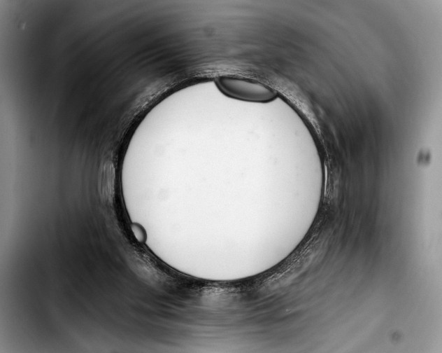 X0000103400109200810100943