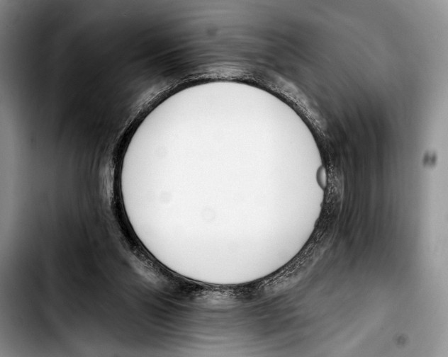 X0000103400110200810100943