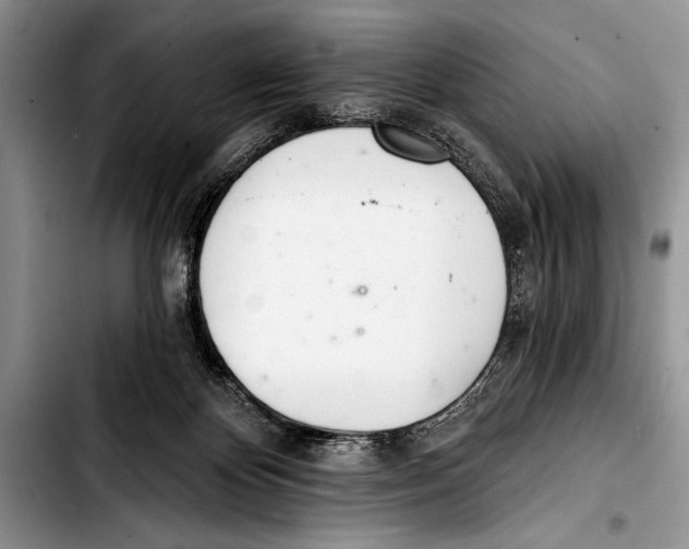 X0000103400124200810100942