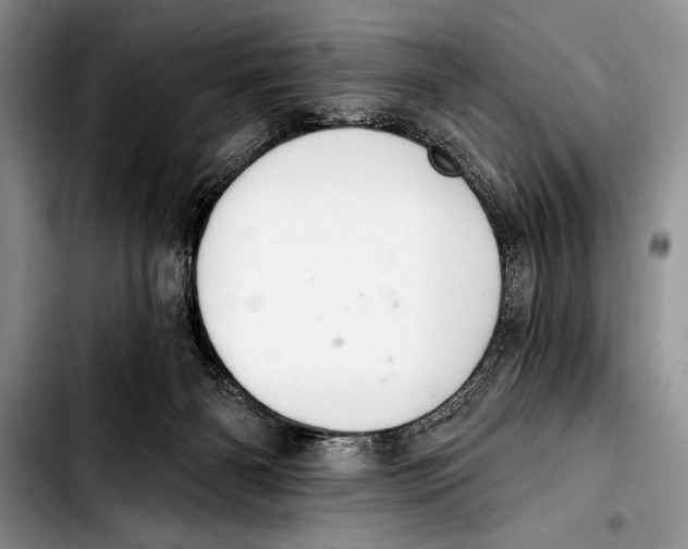 X0000103400126200810100942