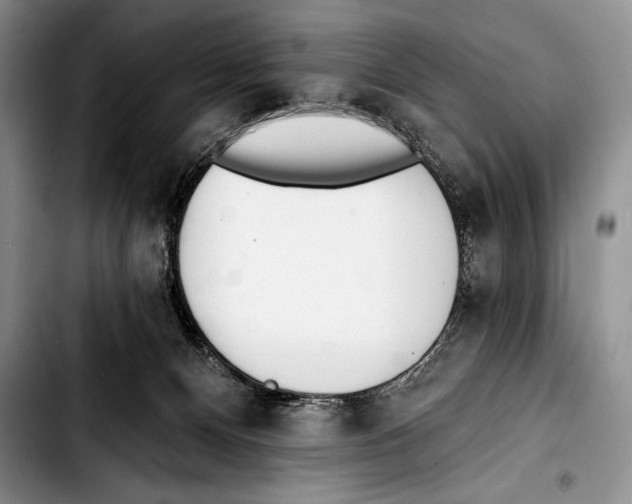 X0000103400128200810100942