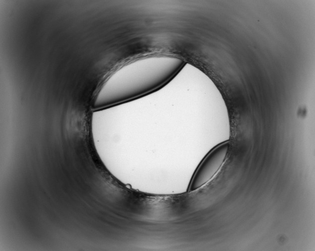 X0000103400136200810100942