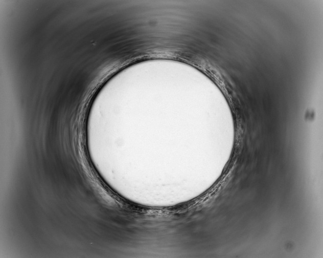 X0000103400145200810100942