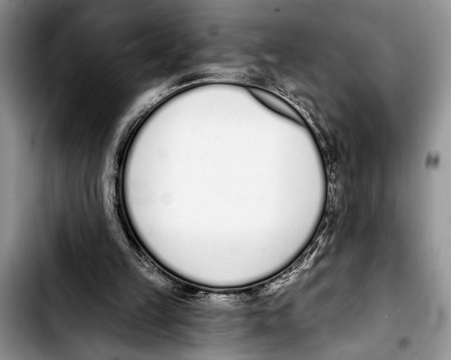 X0000103400149200810100942