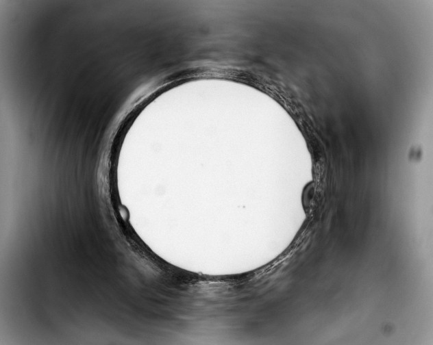 X0000103400150200810100942