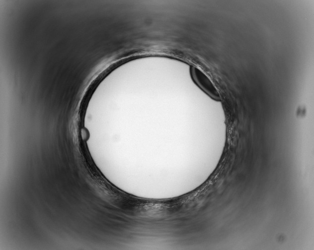 X0000103400152200810100942