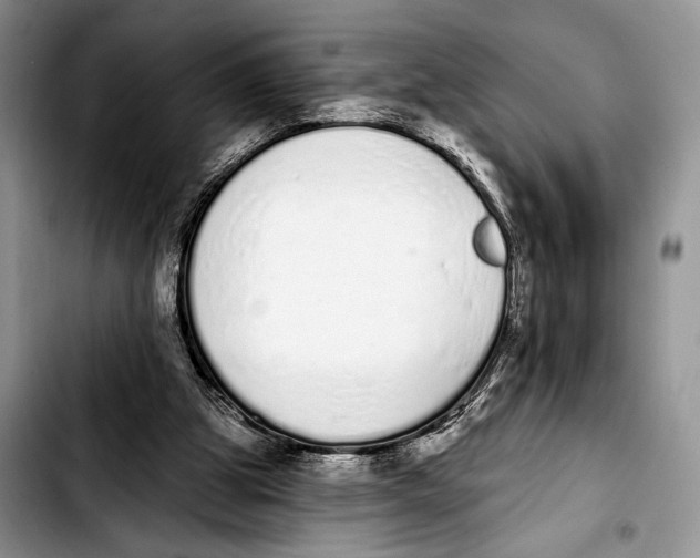 X0000103400153200810100942