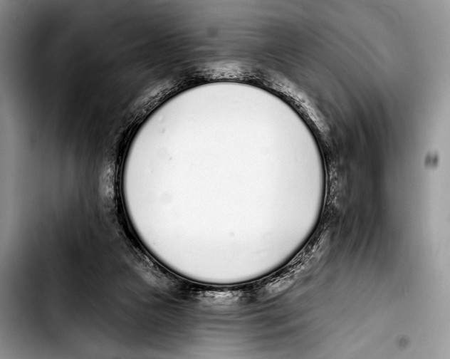 X0000103400161200810100942