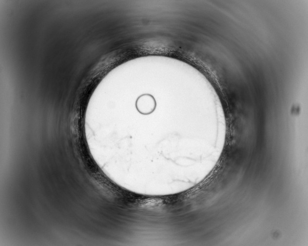 X0000103400162200810100942