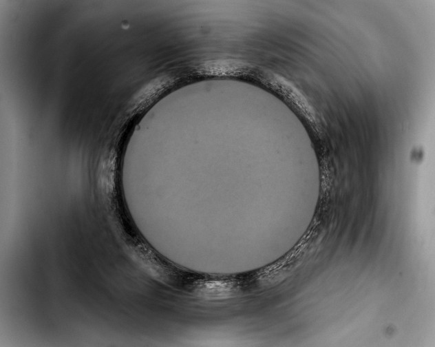 X0000103400163200810100942