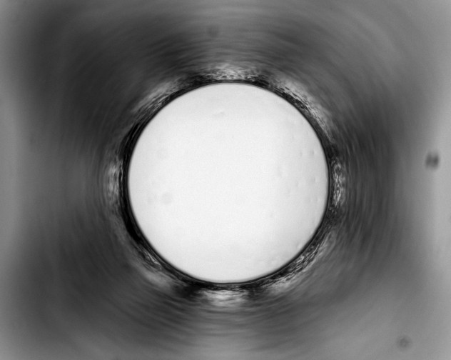 X0000103400165200810100942