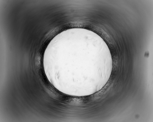 X0000103400166200810100942