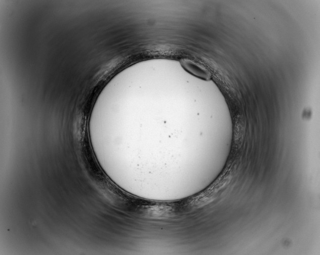 X0000103400168200810100942