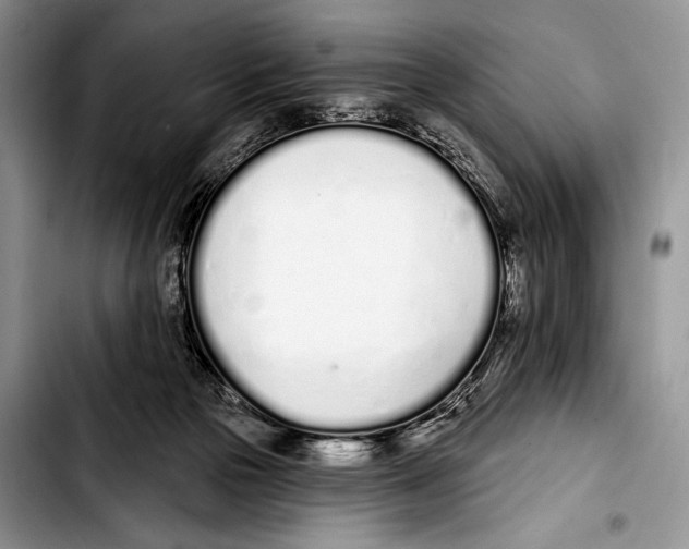 X0000103400169200810100942