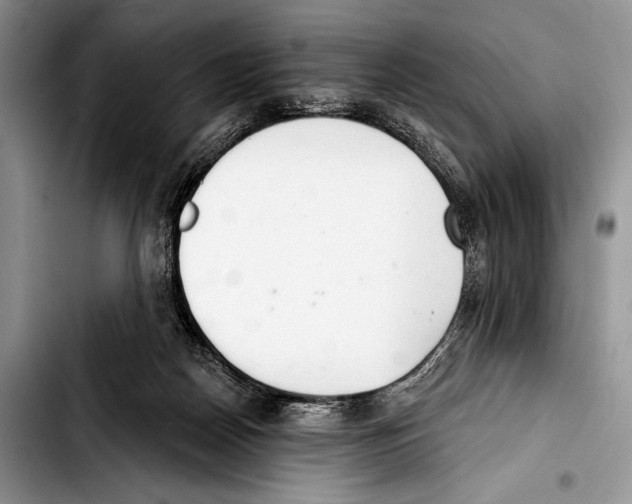 X0000103400170200810100942