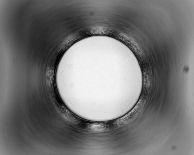 X0000103400171200810100942